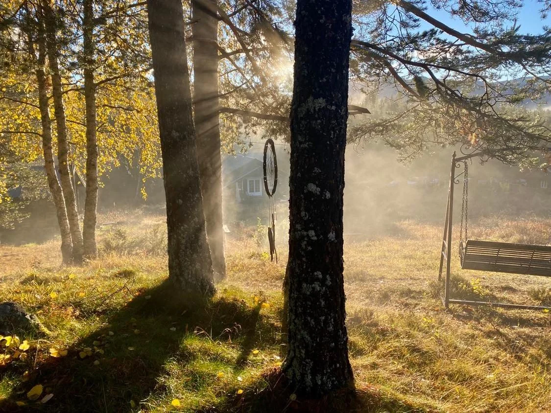 Yoga-Gong-Yorba-Naturens vibrasjoner  13-15 mars 2026                    