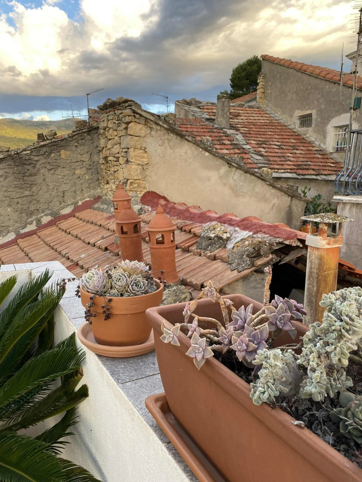 YORBA &amp; GONGBAD i  ITALIA -  en reise for kropp, sinn og sanser 11-18 oktober 2026