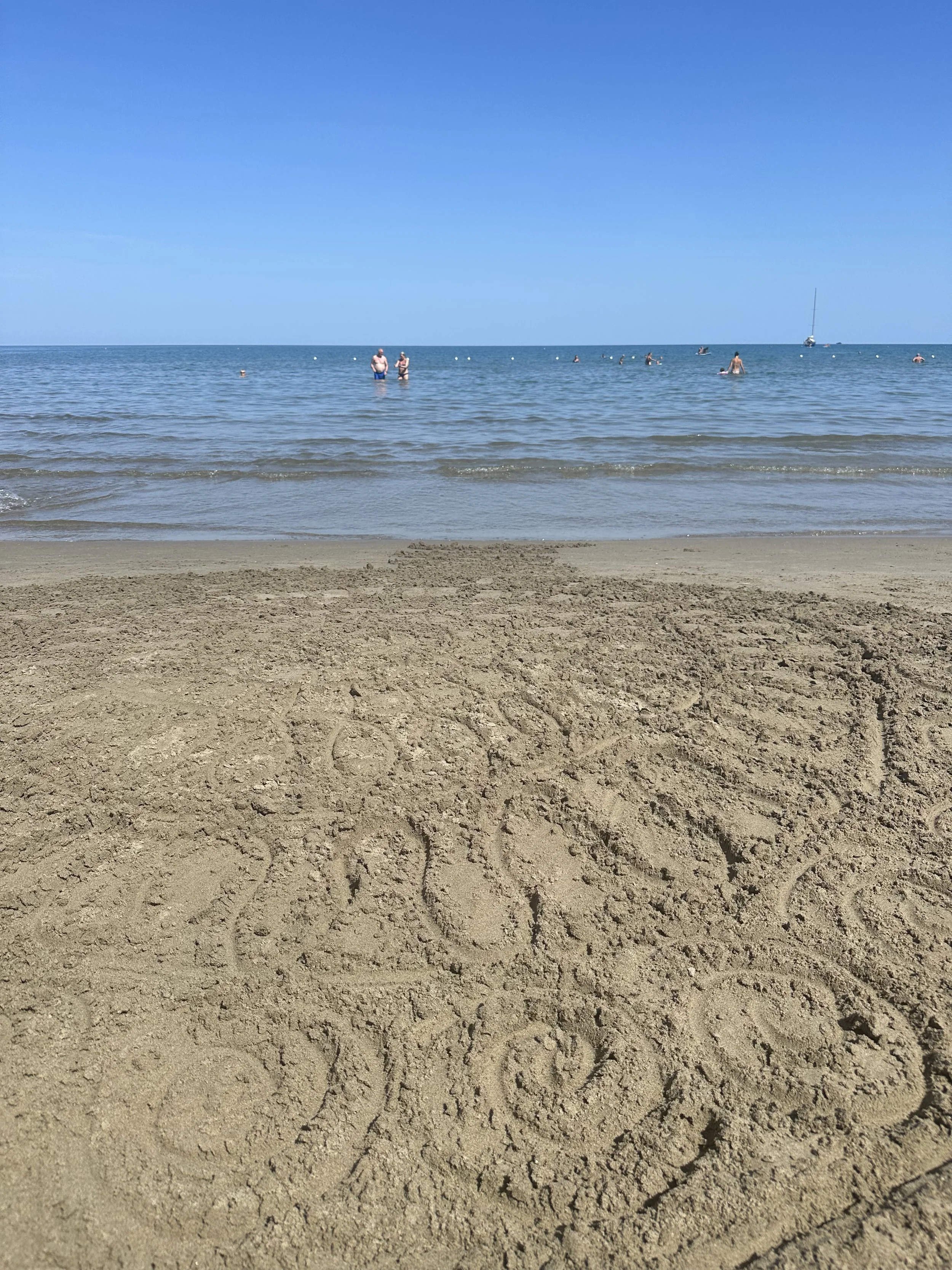 IMG_5113.jpeg