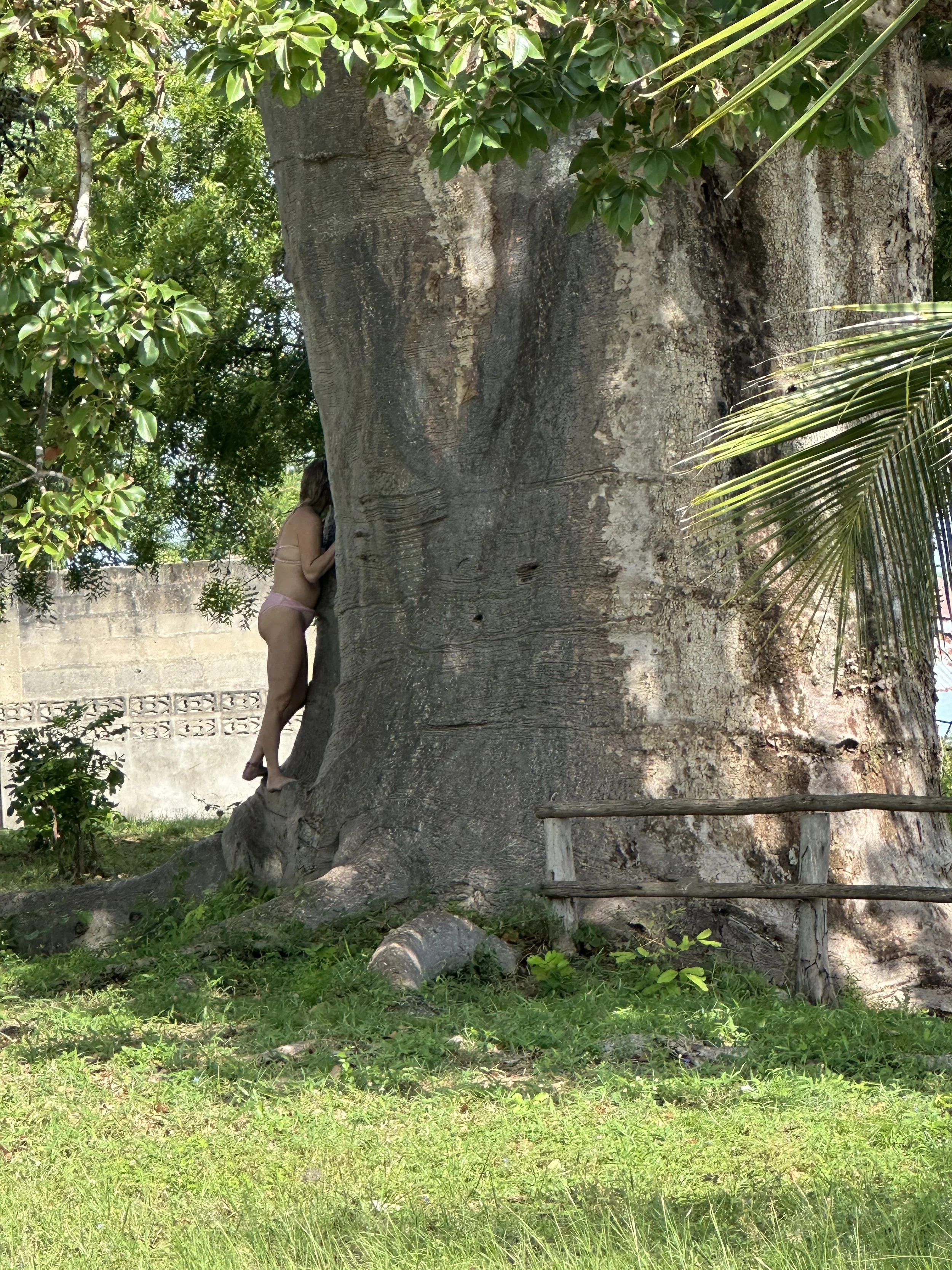 Yorba reise til Tanzania- En opplevelse for kropp, sjel og hjertet- 