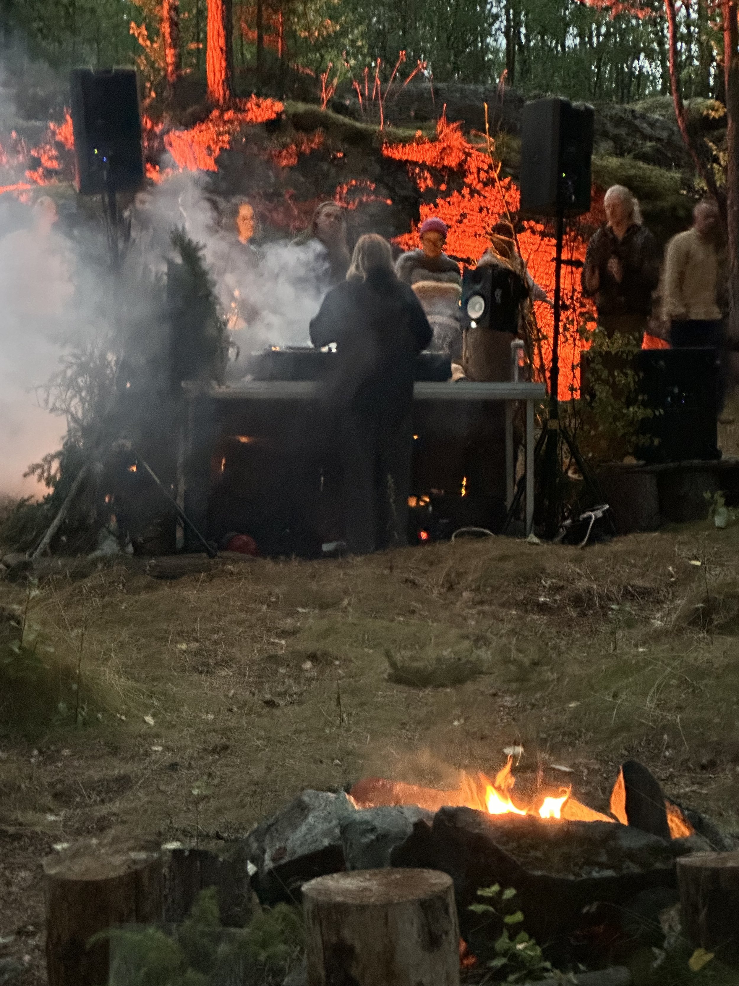 20-22 august 2027 - GROOVE in the forest