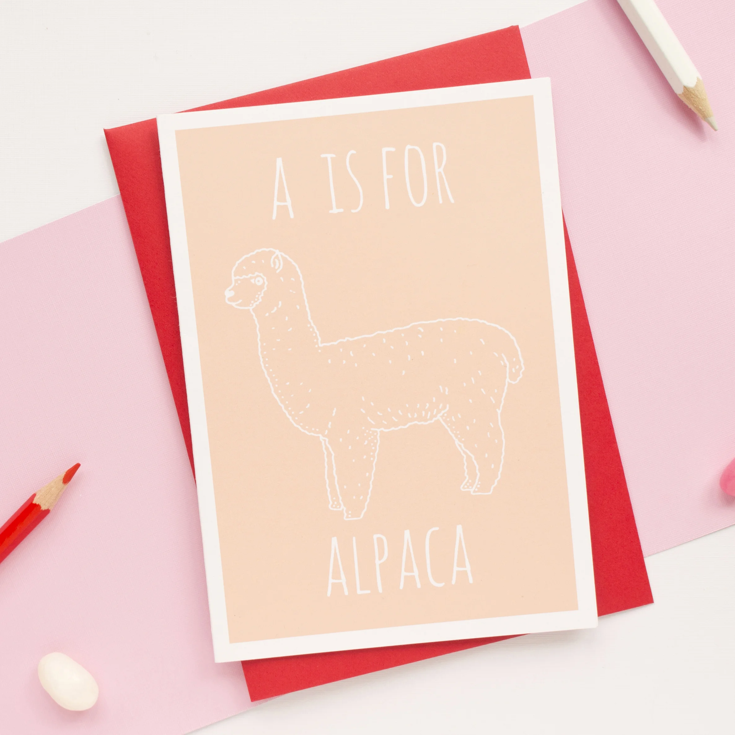 ALPACA (2).jpg