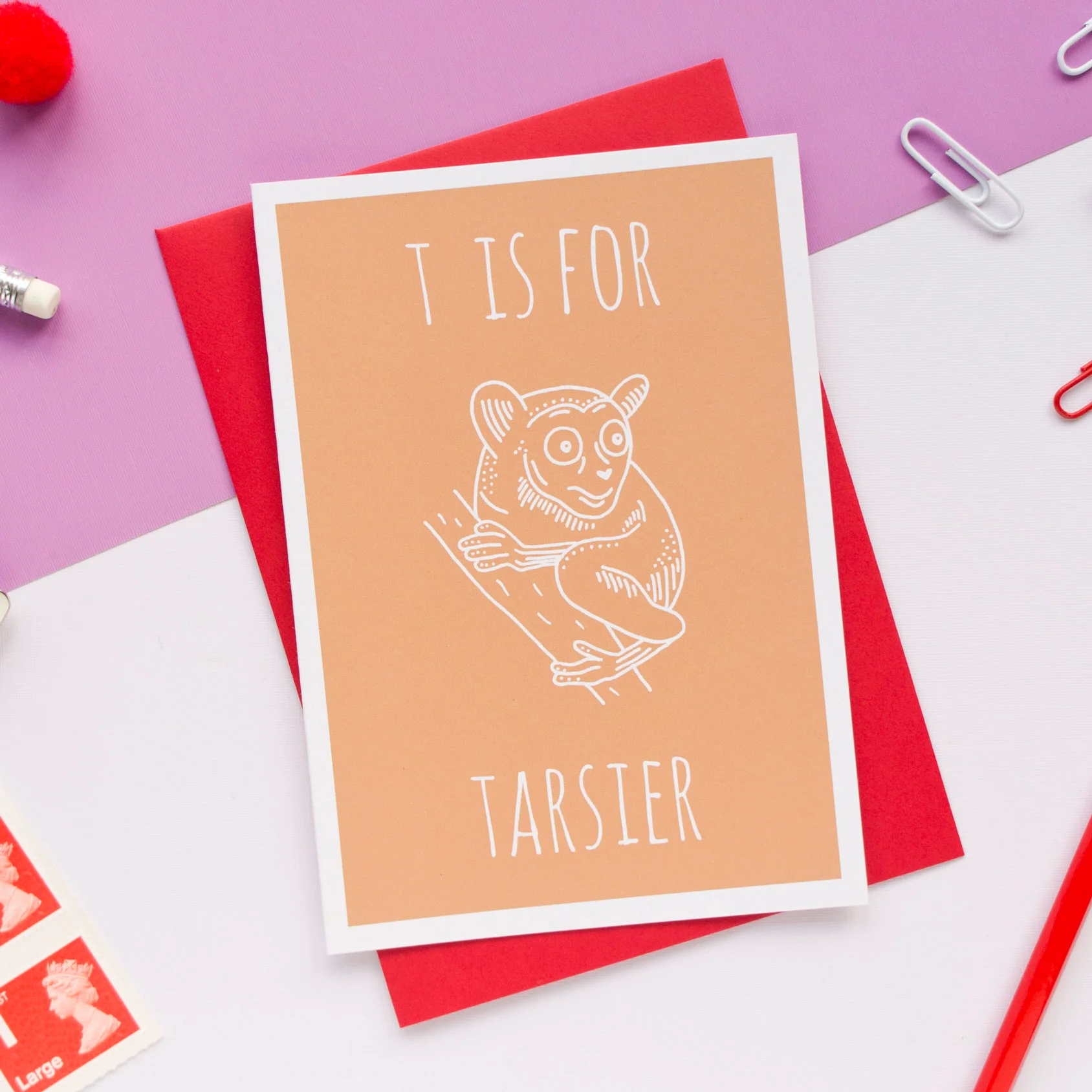 TARSIER-(2).jpg
