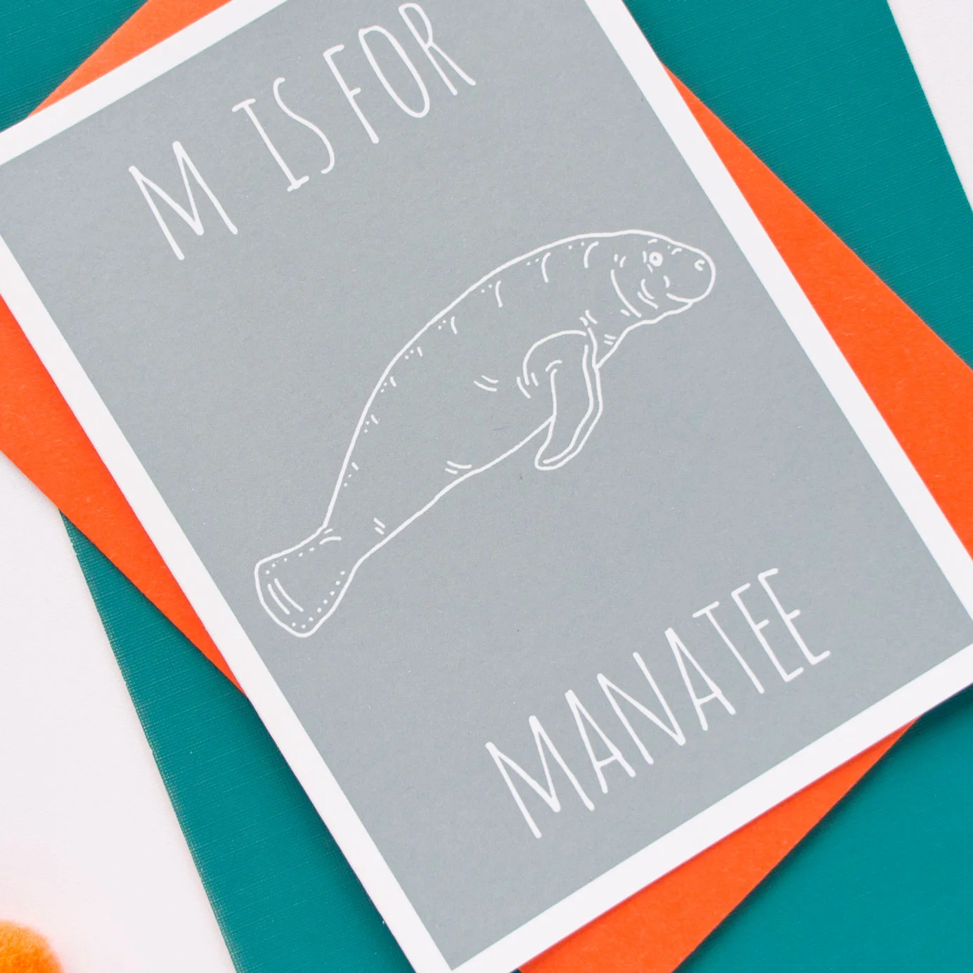 MANATEE-(1).jpg