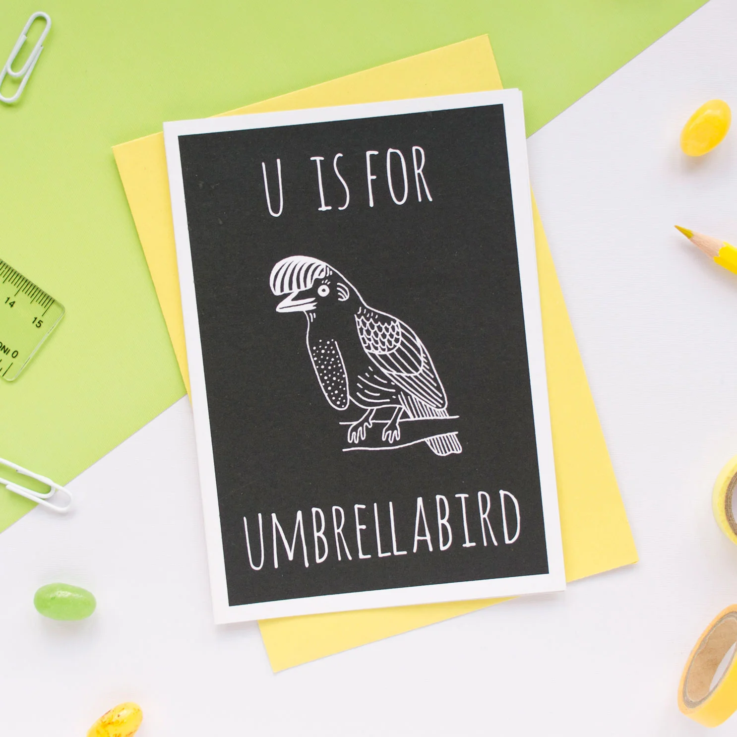 UMBRELLABIRD-(2).jpg