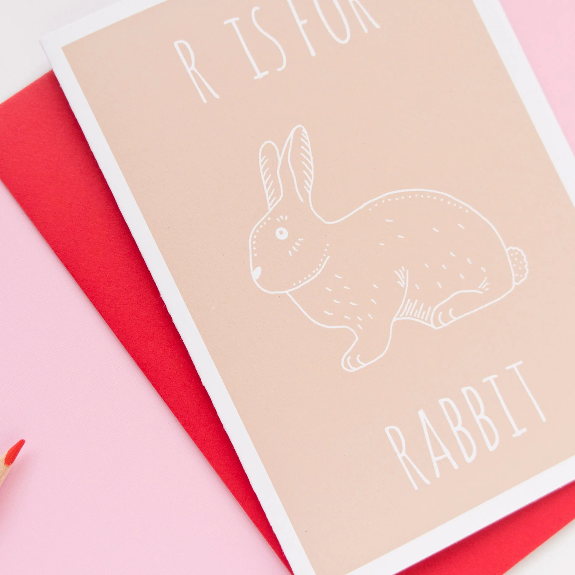 RABBIT-(4).jpg