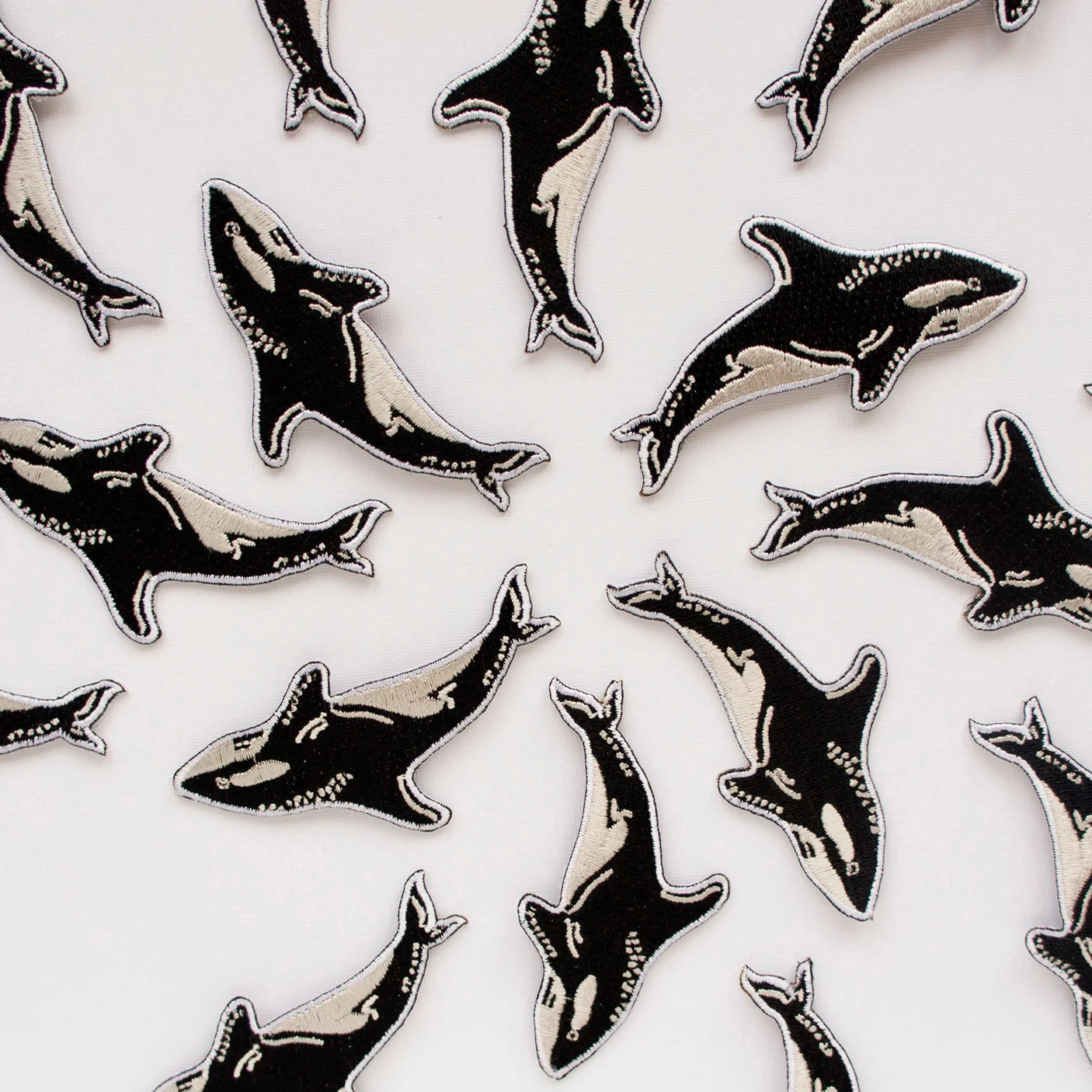 KILLER-WHALE-(1).jpg