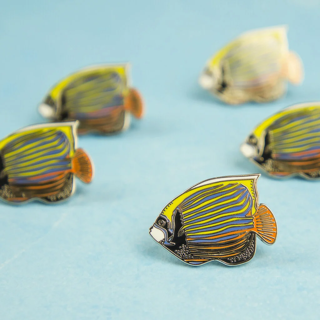 Angelfish (4).jpg