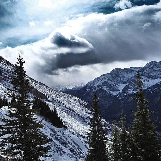 Toque Canada Gallery