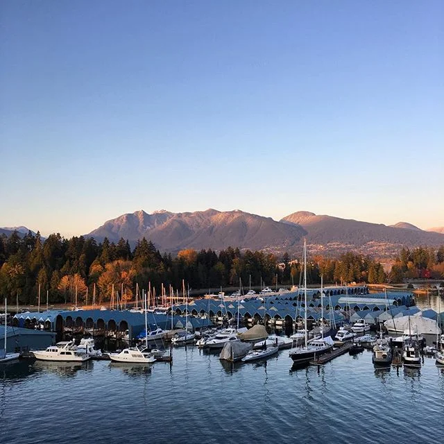 Toque Canada Gallery