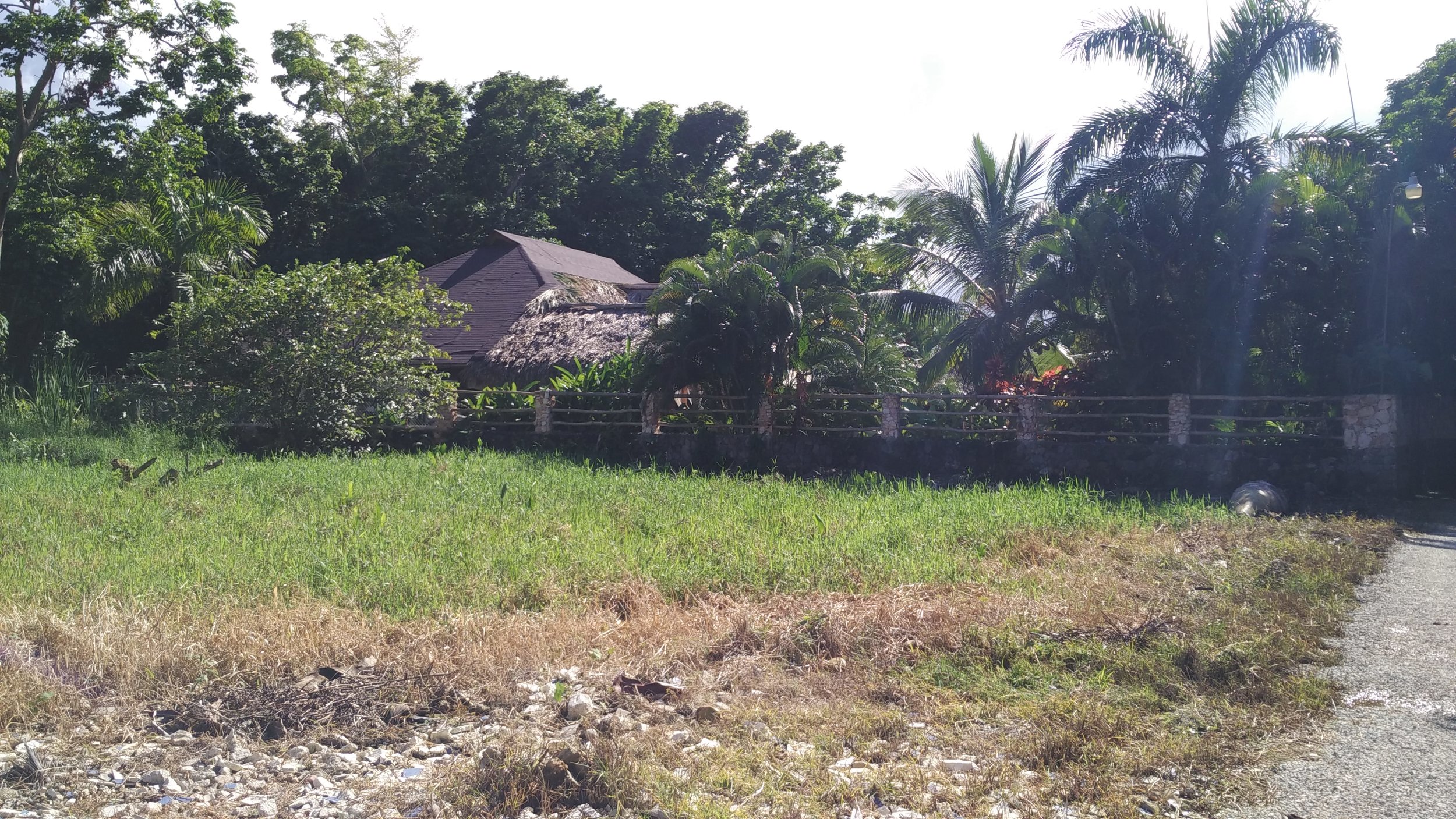 Real Estate Project - Las Ballenas 9.jpg