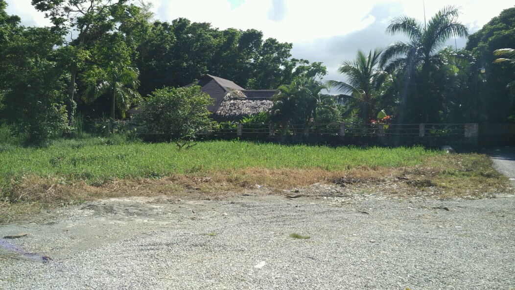 Real Estate Project - Las Ballenas 7.jpg