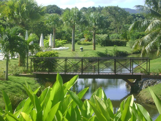 Bonita Village for Sale Las Terrenas gardens 1.jpeg