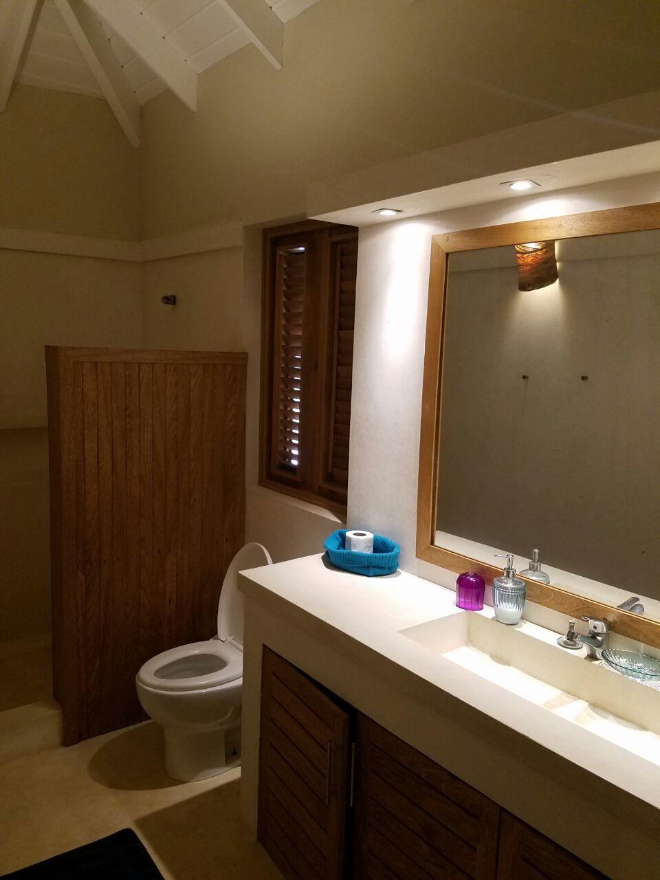villa to build Las Terrenas bathroom 1.jpeg