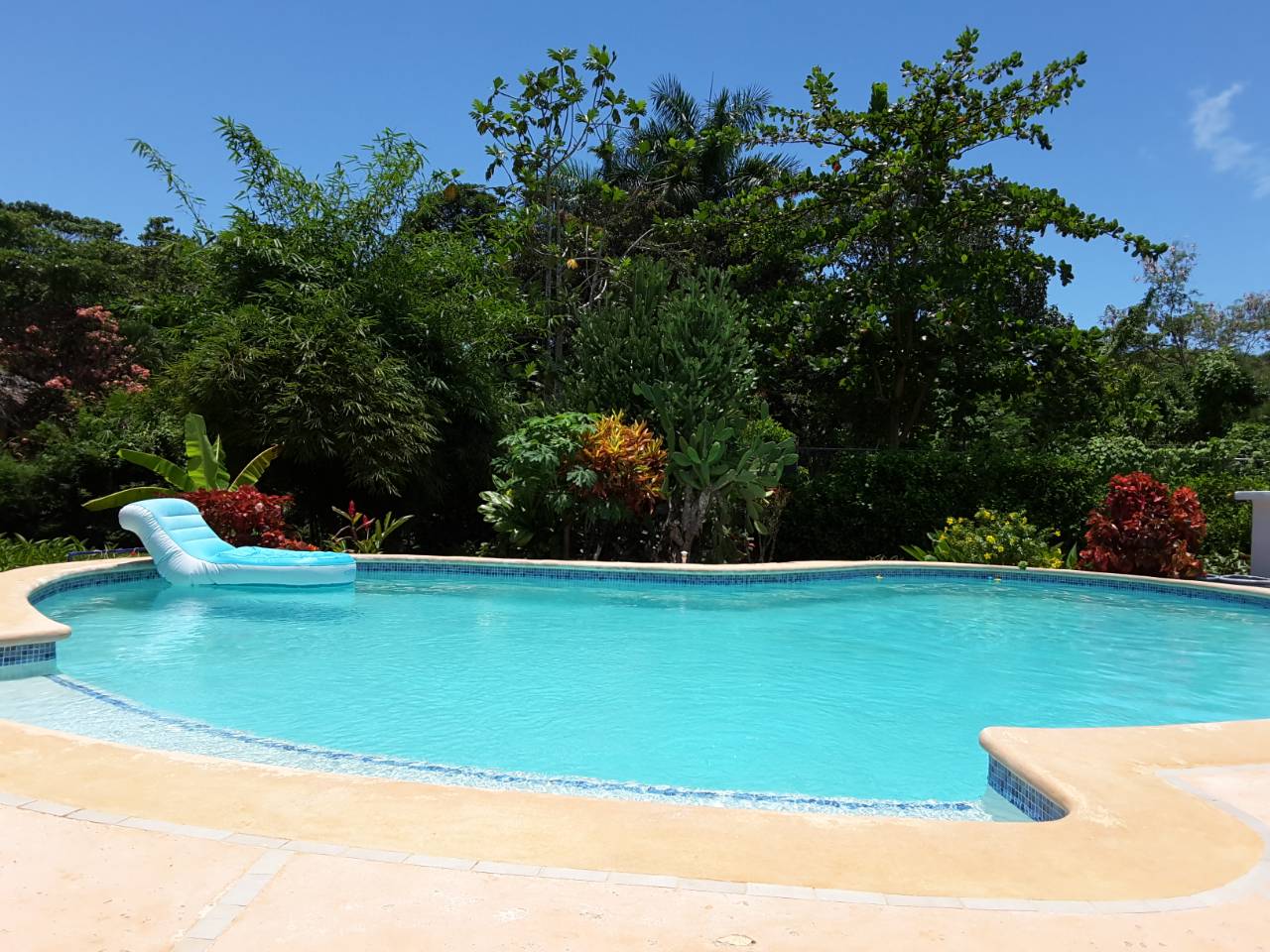 Villa for sale in Las Terrenas perfect for bed and breakfast8.jpeg