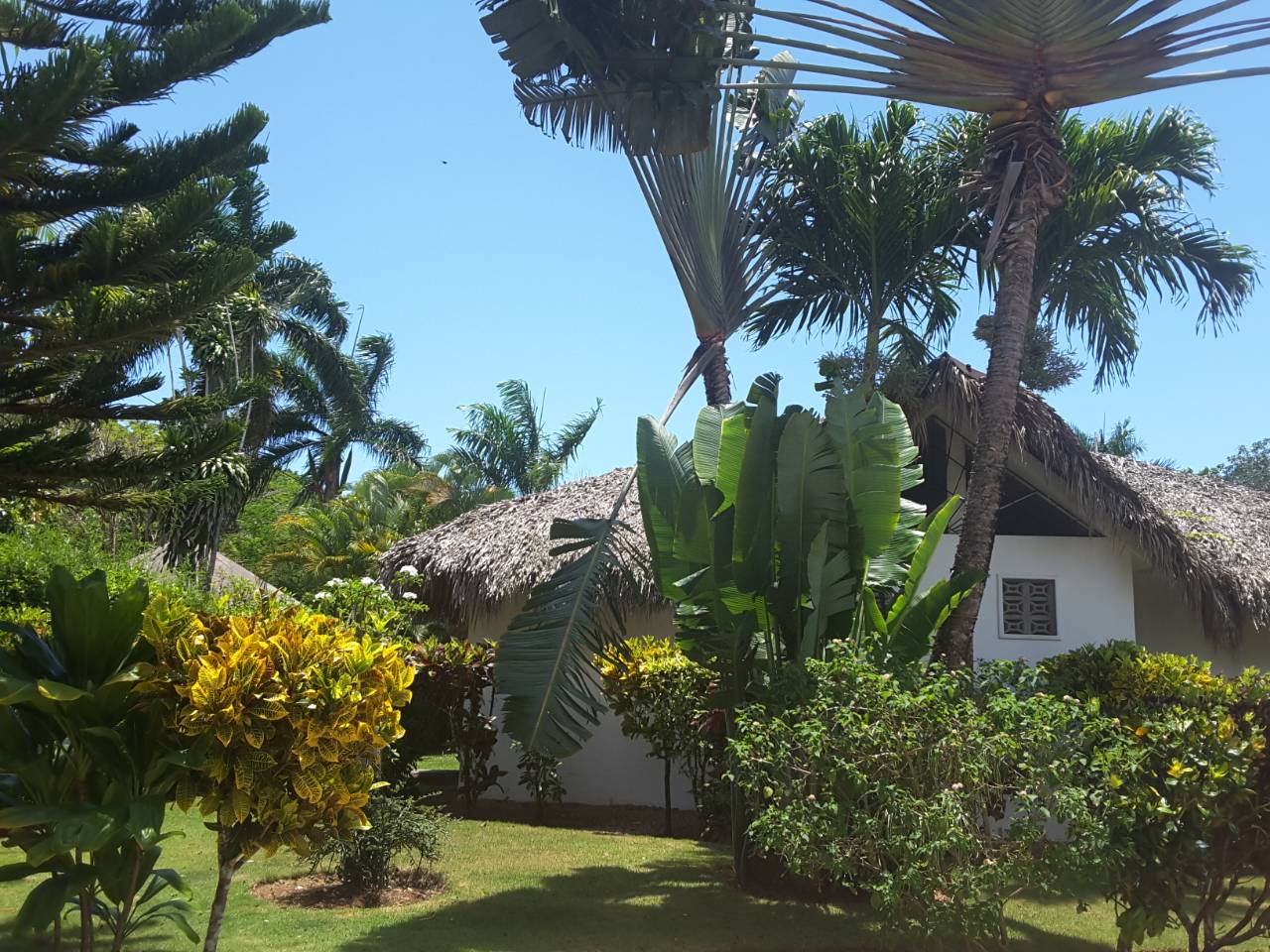 Villa for sale in Las Terrenas perfect for bed and breakfast9.jpeg