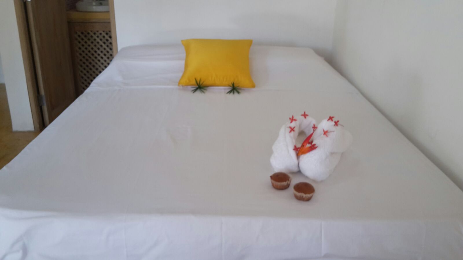 Villa for sale in Las Terrenas perfect for bed and breakfast17.jpeg