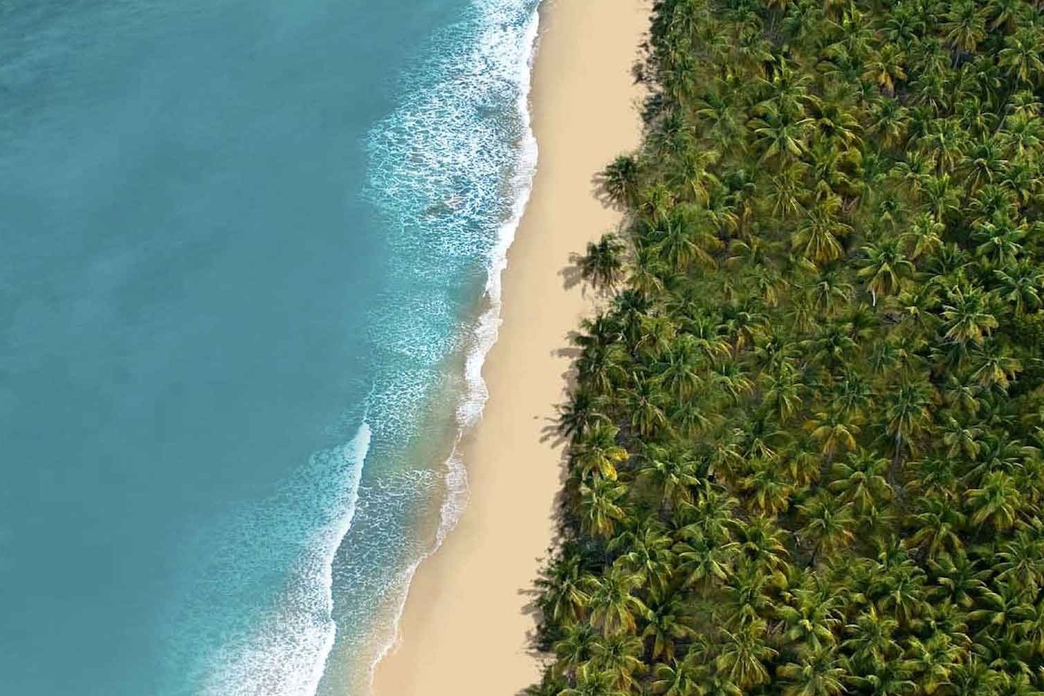 Casa Playa beachfront villa rent in Las Terrenas coson beach.jpg