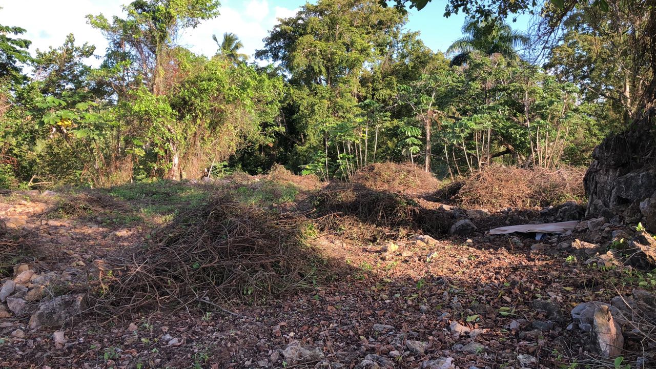 Ocean front Land for sale in Portillo 2.jpeg