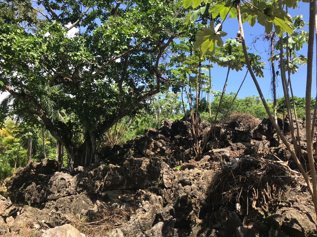 Ocean front Land for sale in Portillo 4.jpeg