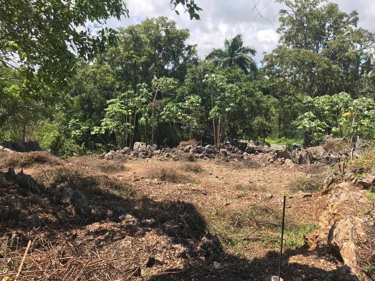 Ocean front Land for sale in Portillo 5.jpeg