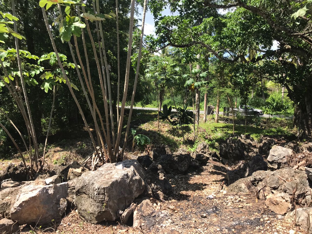 Ocean front Land for sale in Portillo 7.jpeg