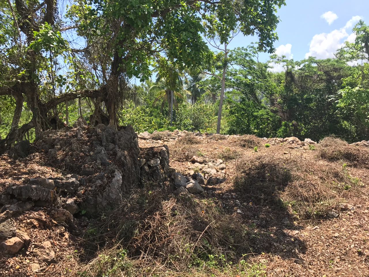 Ocean front Land for sale in Portillo 12.jpeg