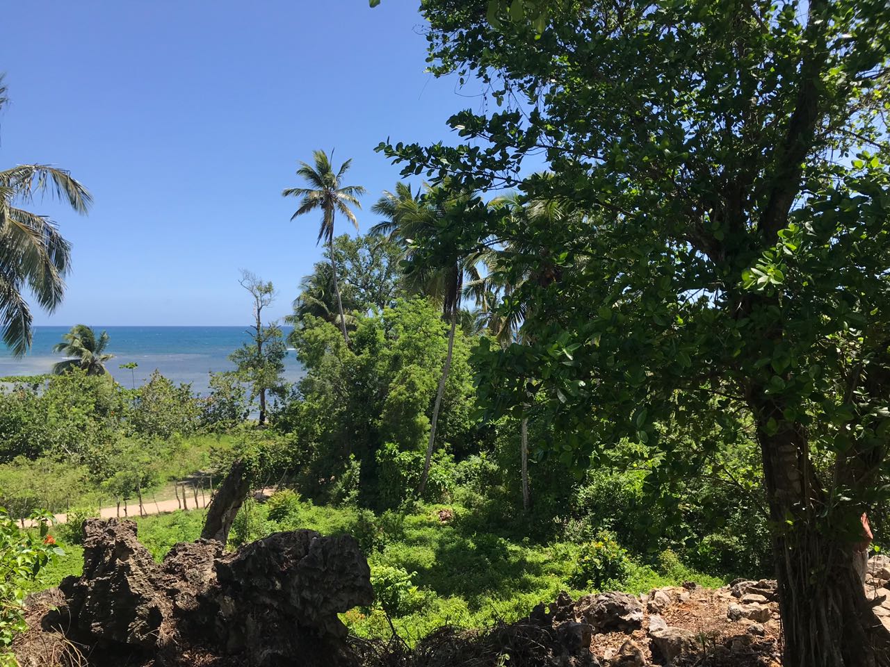 Ocean front Land for sale in Portillo 14.jpeg