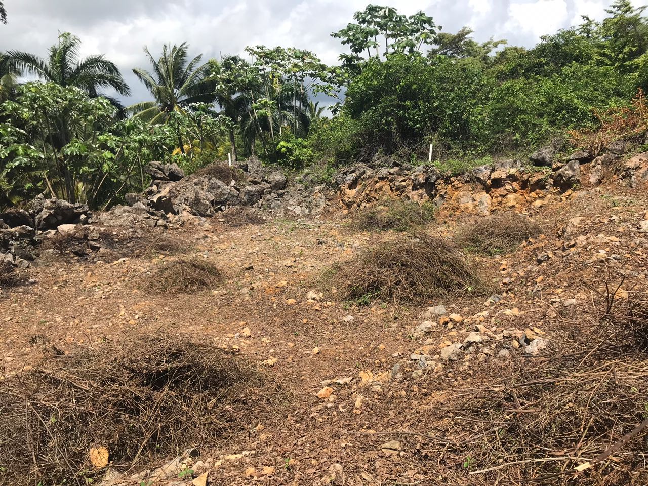 Ocean front Land for sale in Portillo 15.jpeg