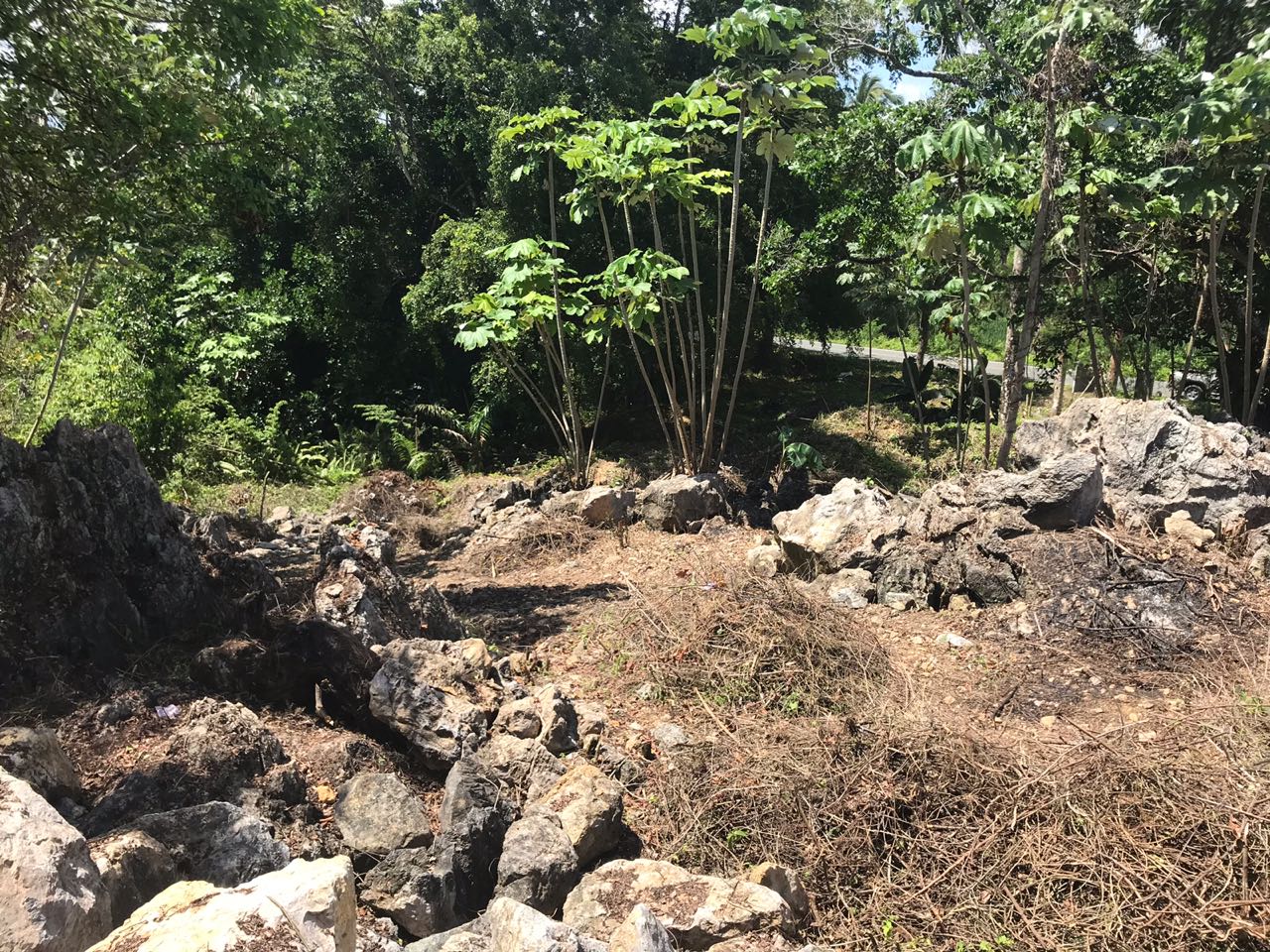 Ocean front Land for sale in Portillo 17.jpeg