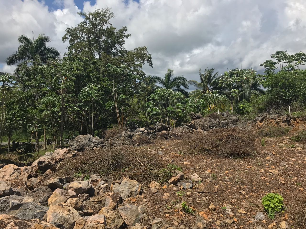 Ocean front Land for sale in Portillo 23.jpeg