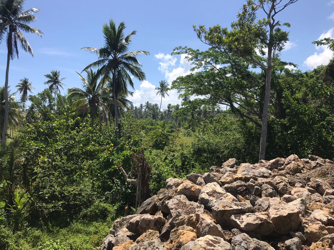 Ocean front Land for sale in Portillo 26.jpeg