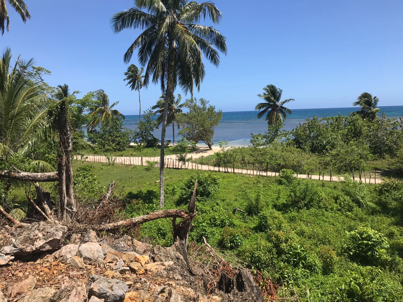 Ocean front Land for sale in Portillo 29.jpeg