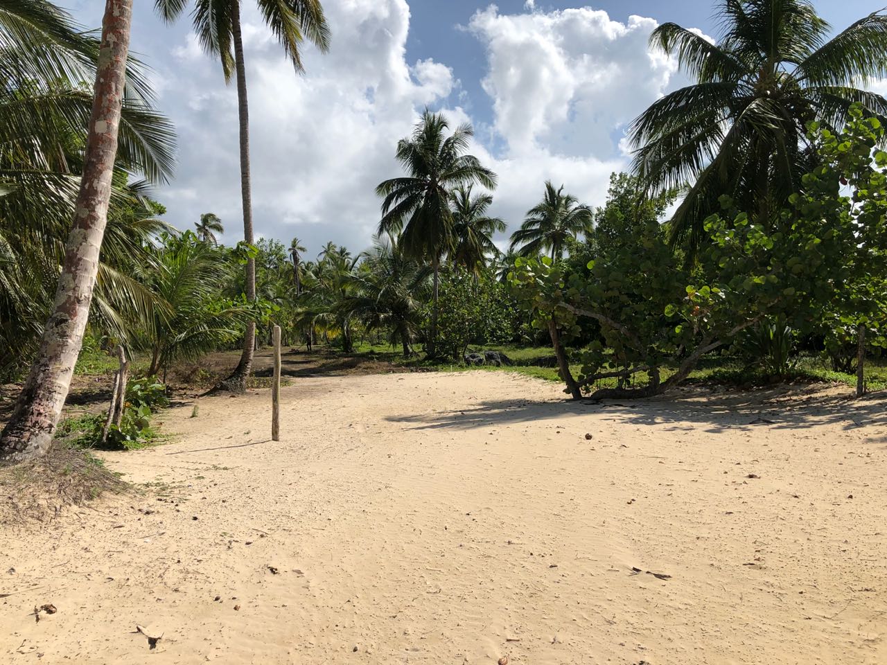 Beachfront land in for sale in Las Terrenas 3.jpeg