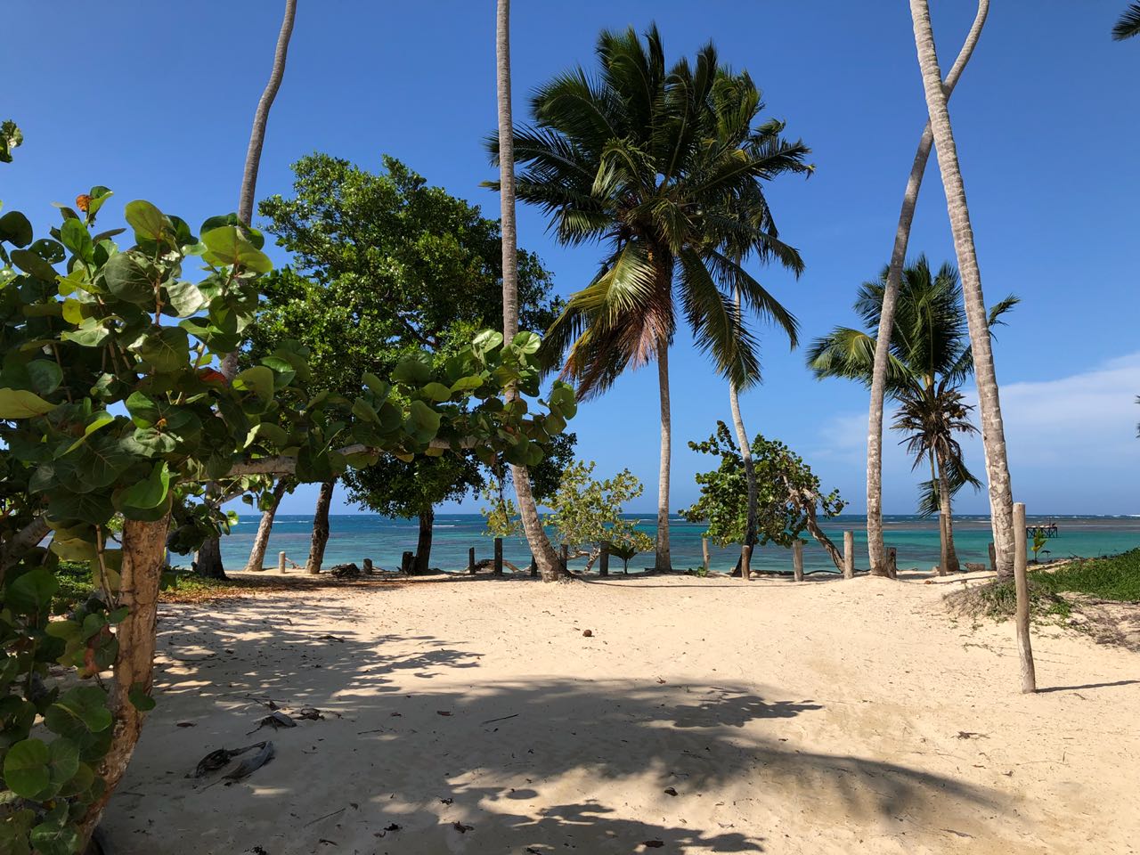 Beachfront land in for sale in Las Terrenas 4.jpeg