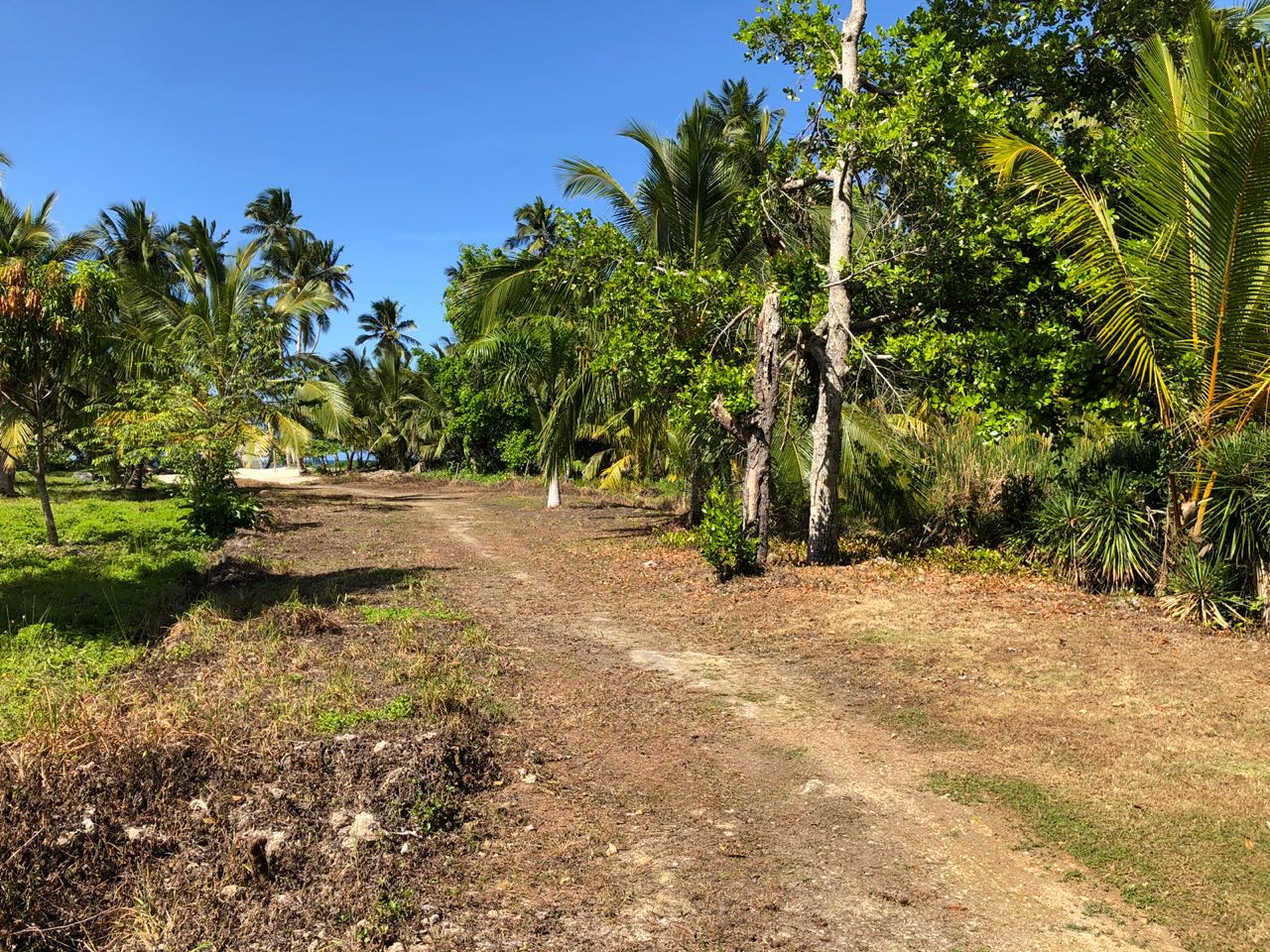 Beachfront land in for sale in Las Terrenas 5.jpeg