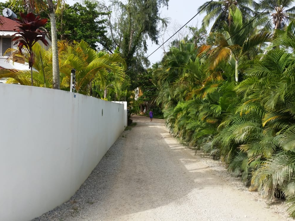 Villa Thalaya Real Estate Las Terrenas.jpeg