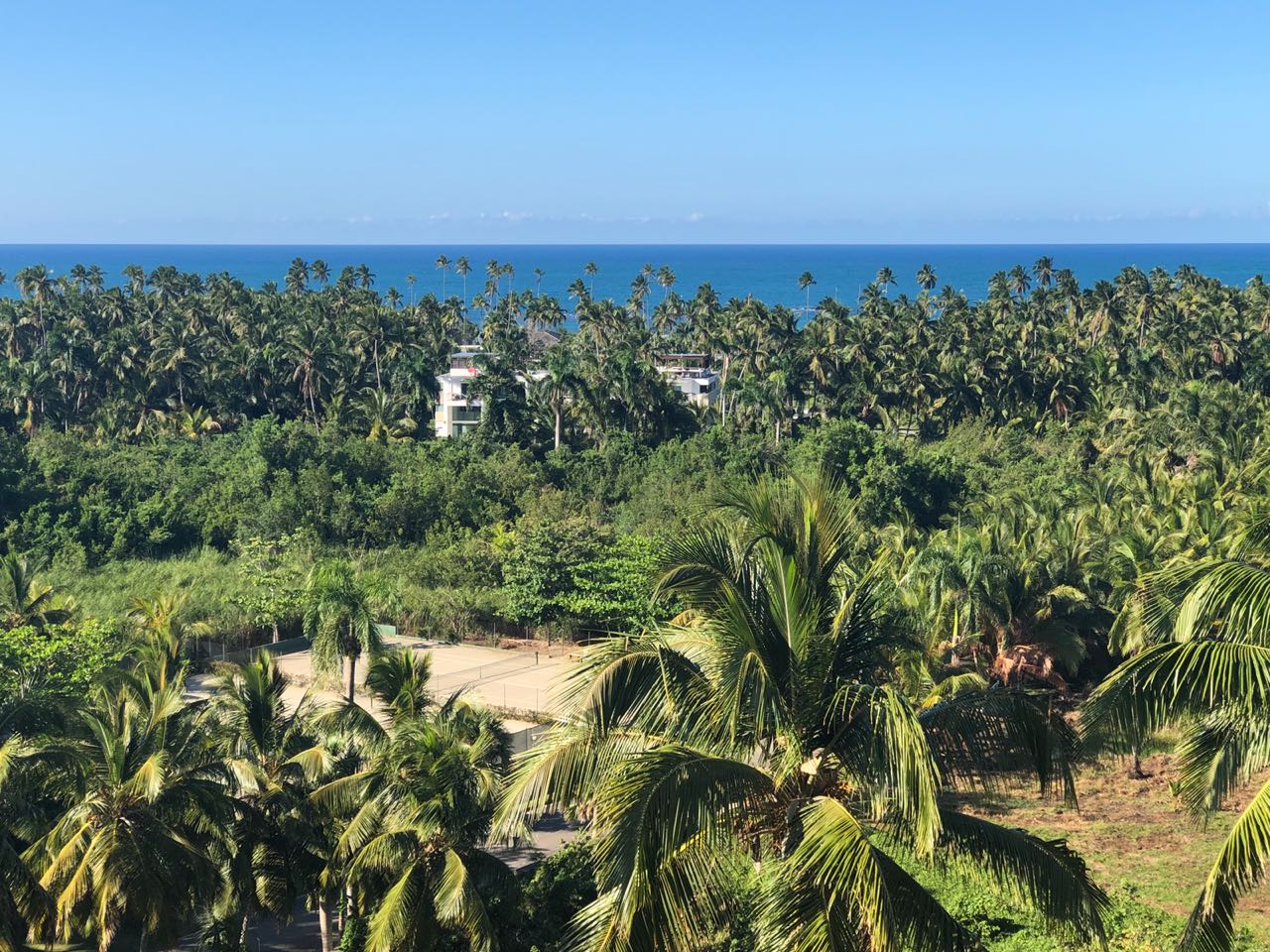 Land for sale esperanza las terrenas 1.jpeg