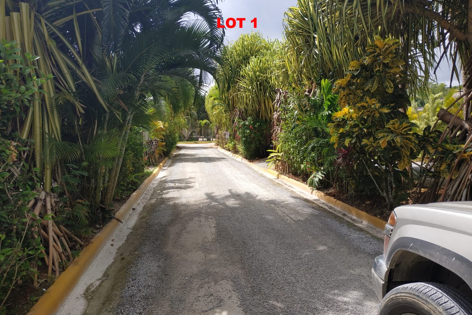 1 Land las terrenas los nomadas for sale 1.jpeg