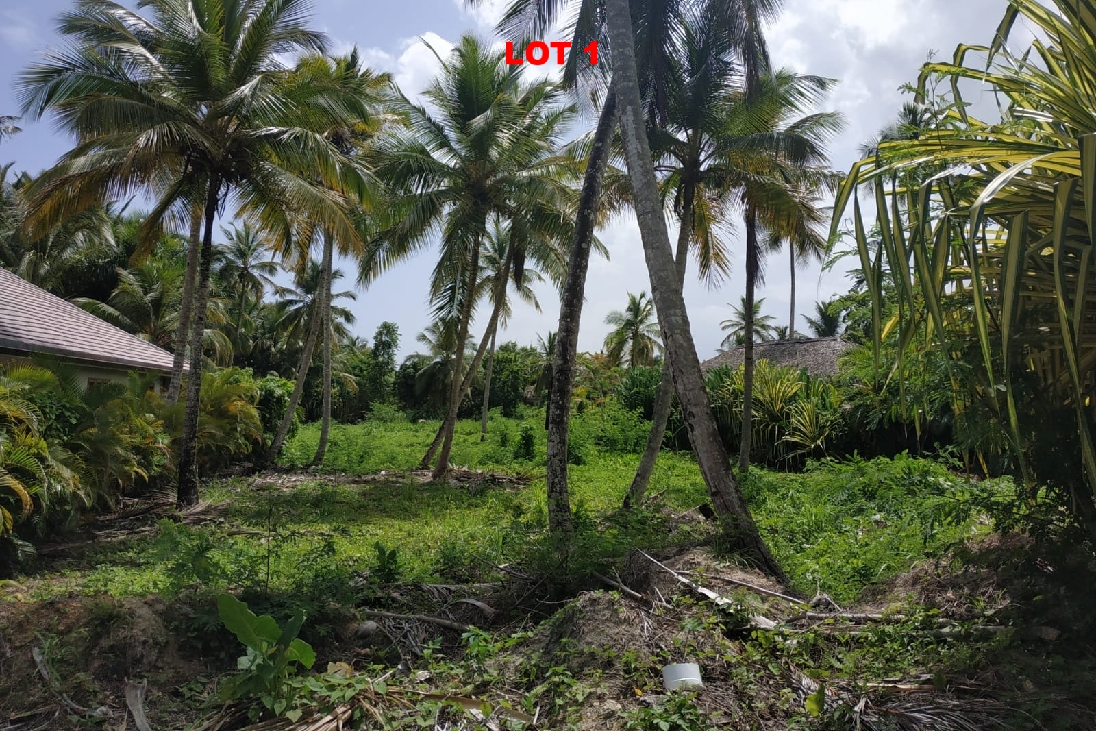 1 Land las terrenas los nomadas for sale 2.jpeg