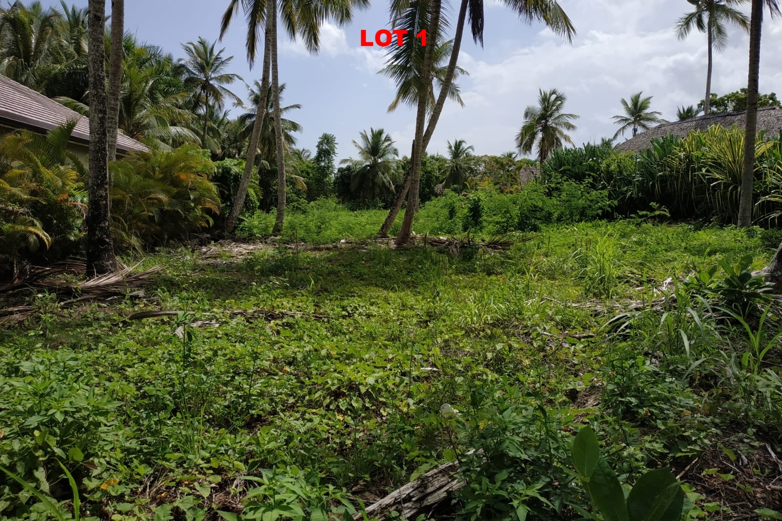 1 Land las terrenas los nomadas for sale 5.jpeg