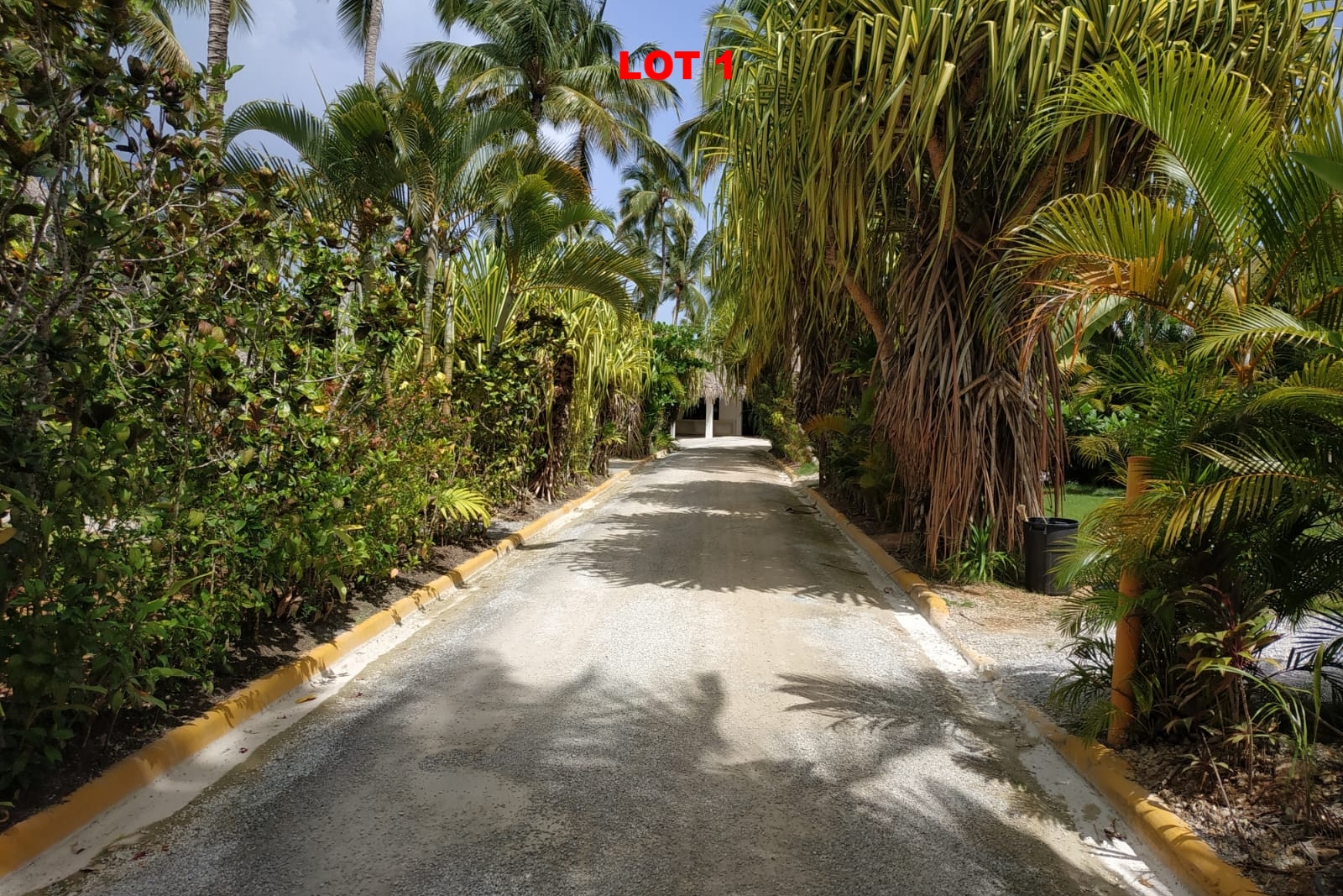 1 Land las terrenas los nomadas for sale.jpeg