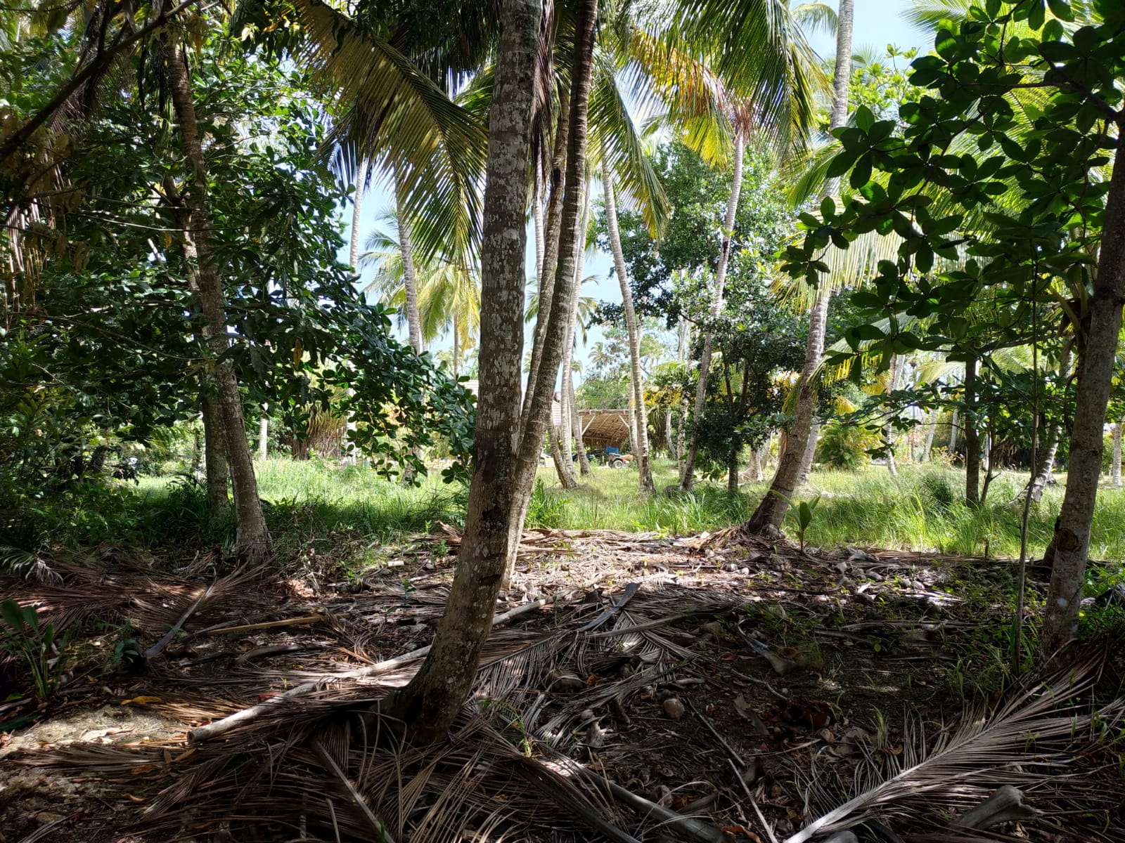2 lot for sale in los nomadas las terrenas 2.jpeg