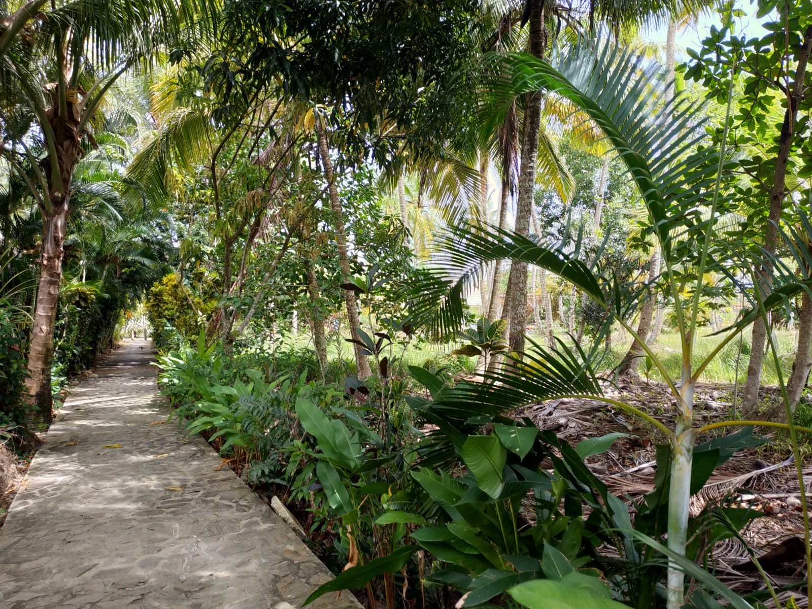 2 lot for sale in los nomadas las terrenas 5.jpeg