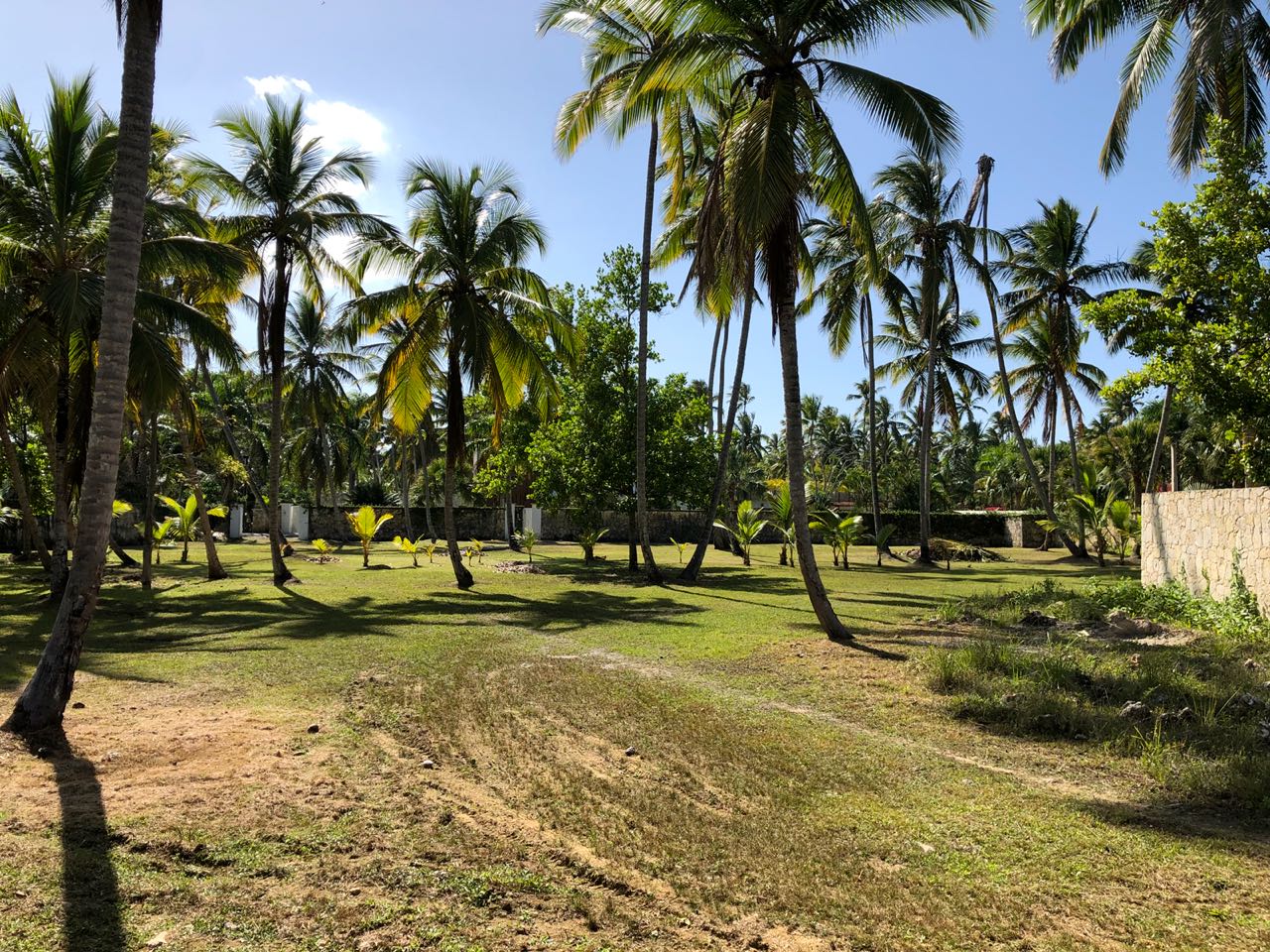 Land for sale esperanza las terrenas 12.jpeg