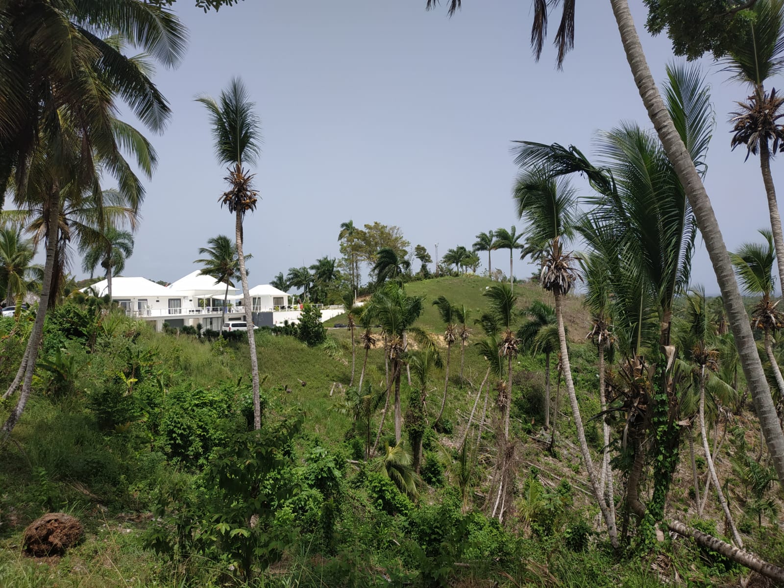 Land to build villa in Las Terrenas DR 2.jpeg