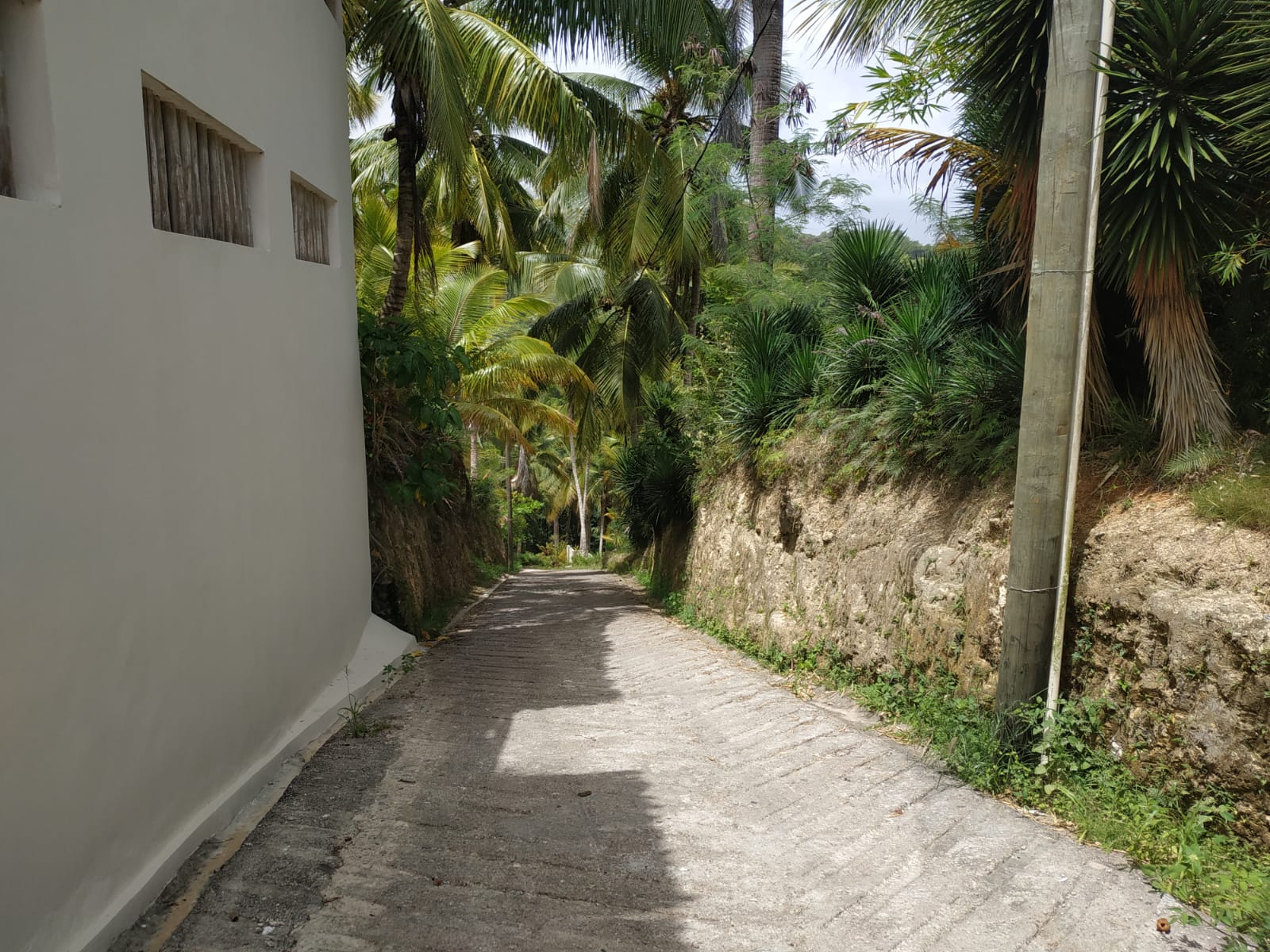 Land to build villa in Las Terrenas DR10.jpeg