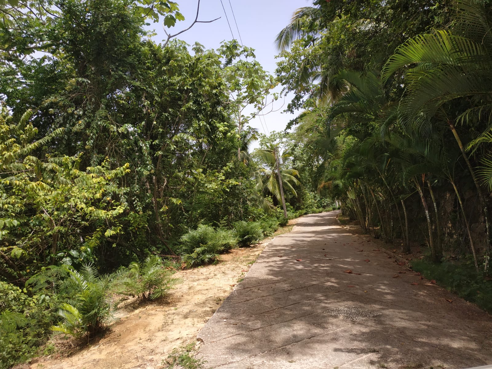 Land to build villa in Las Terrenas DR12.jpeg