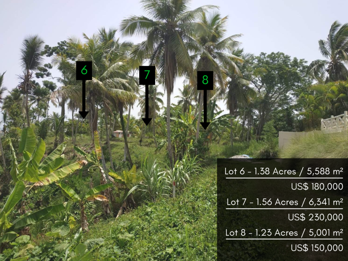 lot to build hill villa las terrenas.png