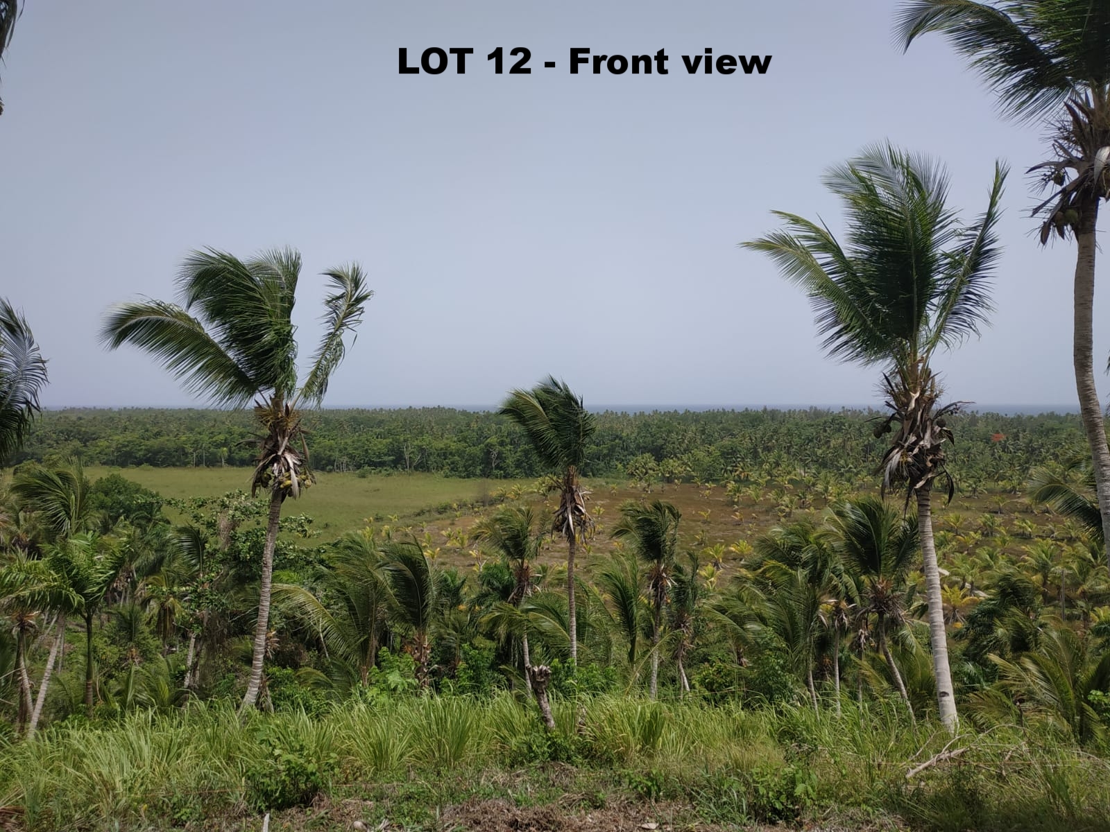 Land to build villa in Las Terrenas DR 7.jpeg
